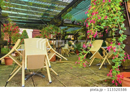 Abandoned outside terrace of restaurant. Little garden in restaurant. Garden style Abandoned outside terrace of restaurant. Little garden in restaurant. Garden style 113320386