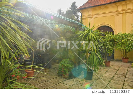 Little garden in restaurant. Garden style. Sun flare. 113320387
