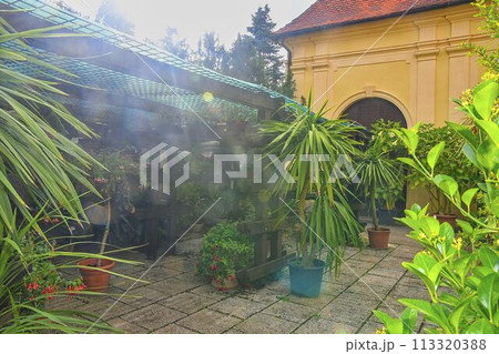 Little garden in restaurant. Garden style. Sun flare. 113320388
