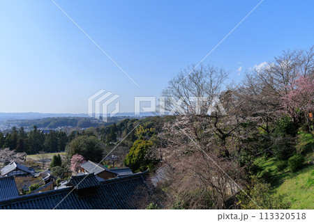 2024年東大寺の春　東大寺二月堂　舞台からの眺め 113320518