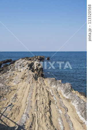 城ヶ島公園西崎の磯 神奈川県三浦市城ヶ島 城ヶ島公園西崎の磯 神奈川県三浦市城ヶ島 113320568