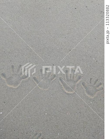 砂浜につけた家族の手形 113320882