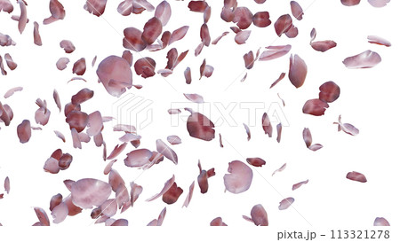 3D illustration Background for advertising and wallpaper in nature and travel scene. 3D rendering in decorative concept. 113321278