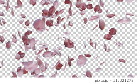 3D illustration Background for advertising and wallpaper in nature and travel scene. 3D rendering in decorative concept. 113321278