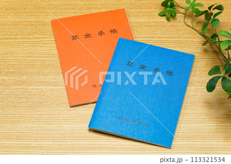 年金手帳 113321534