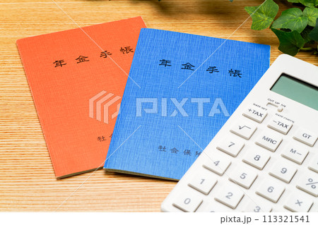 年金手帳 113321541