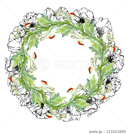 Hand drawn watercolor botanical illustration flowers leaves. Red poppy papaver, stems buds seedpods. Wreath frame isolated on white background. Design wedding, love cards, remembrance day stationery Hand drawn watercolor botanical illustration flowers leaves. Red poppy papaver, stems buds seedpods. Wreath frame isolated on white background. Design wedding, love cards, remembrance day stationery 113321600