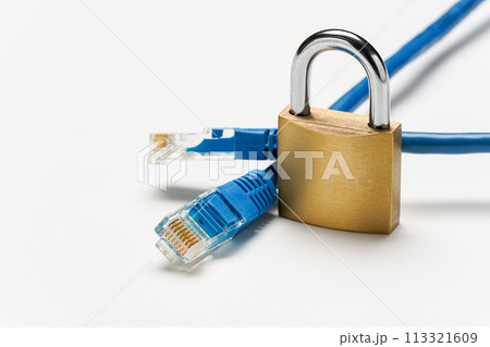 ネットワークケーブルと南京錠 ネットワークケーブルと南京錠 113321609