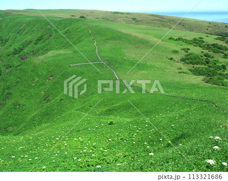 礼文島 桃岩展望台コースの眺望 礼文島 桃岩展望台コースの眺望 113321686