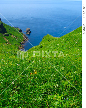 礼文島 桃岩展望台コースの眺望(猫岩) 礼文島 桃岩展望台コースの眺望(猫岩) 113321856