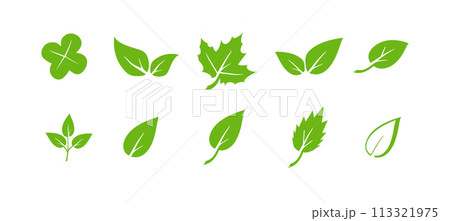 Green leaf icons set. Elements design for natural, eco, vegan. Leaves icon on isolated background. Collection green leaf. Vector 113321975
