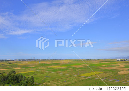 福島潟(新潟県新潟市) 福島潟(新潟県新潟市) 113322365