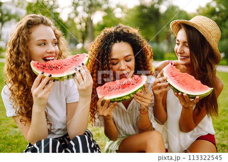 Cheerful happy friends camping on the grass, eating watermelon, laughing. Cheerful happy friends camping on the grass, eating watermelon, laughing. 113322545