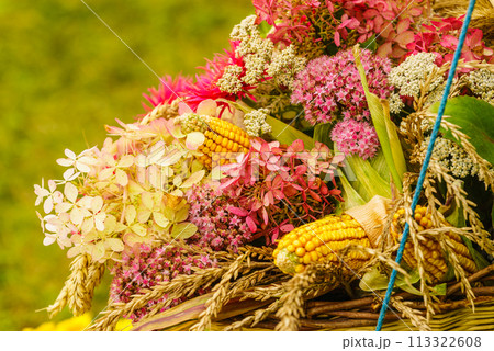 Flowers Flowers 113322608