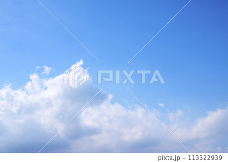 春の空 青空 晴れ イメージ 【神奈川県 厚木市】 113322939