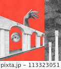 Surreal crazy collage. Art poster, concept, zine cover, funky print. Artwork unusual abstract style. 113323051