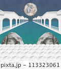 Surreal crazy collage. Art poster, concept, zine cover, funky print. Artwork unusual abstract style. 113323061