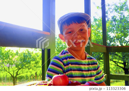 Little boy is wearing flat cap. Apples and grapes on a table. Smiling little boy is sitting at a table on a verandah and eating fresh apples and grapes. Dreamy and romantic image. Autumn and happy Little boy is wearing flat cap. Apples and grapes on a table. Smiling little boy is sitting at a table on a verandah and eating fresh apples and grapes. Dreamy and romantic image. Autumn and happy 113323306