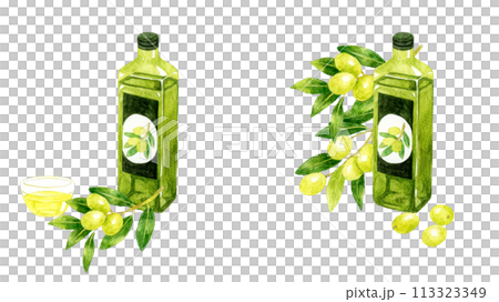 瓶に入ったオリーブオイルのセット 食用油の手描き水彩イラスト素材 瓶に入ったオリーブオイルのセット 食用油の手描き水彩イラスト素材 113323349