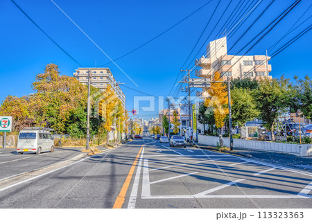 神奈川県藤沢市の都市風景　湘南台駅 113323363