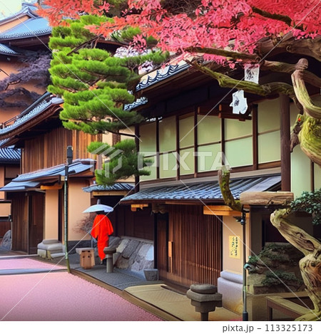 葛飾北斎イメージ東都小さな旅 113325173