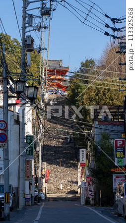 松山市の伊佐爾波神社 松山市の伊佐爾波神社 113325268