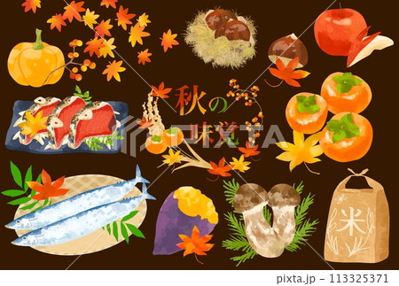 かわいいタッチの食欲の秋イラスト 113325371
