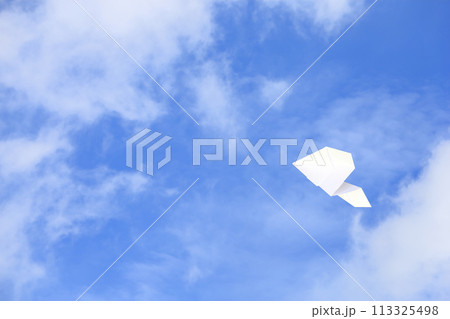 大空を飛ぶ紙飛行機 113325498