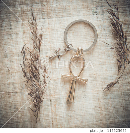 Egyptian Cross Ankh 113325653