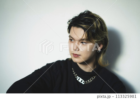 20代の男性　メンズメイク　ビューティーイメージ　ポートレート 113325981