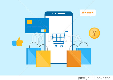 ネットショッピングのセキュリティイメージ 113326362