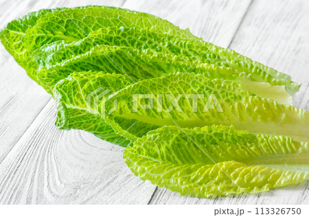 Romaine lettuce leaves 113326750