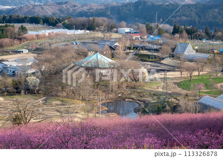春の中之条ガーデンズ　花桃の丘 113326878
