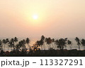 Sunset against the backdrop of palm trees 113327291