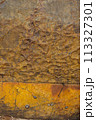 Texture of the sea stone 113327301