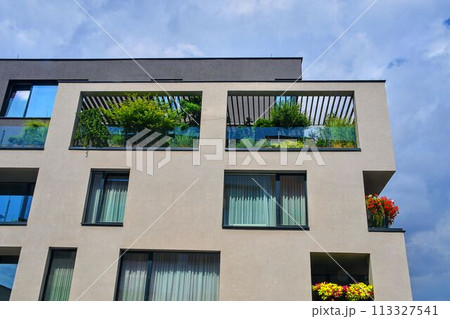 Modern architecture. Urban terrace with flowers and greenery. Urban house 113327541