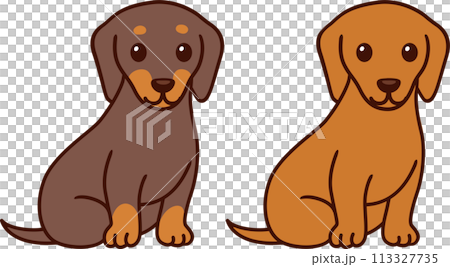 Two cartoon Dachshunds 113327735