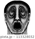 白黒の叫ぶ男または幽霊 113328032