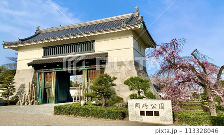 青空と満開の桜に彩られた岡崎城大手門〈岡崎城公園/愛知県岡崎市〉 青空と満開の桜に彩られた岡崎城大手門〈岡崎城公園/愛知県岡崎市〉 113328046