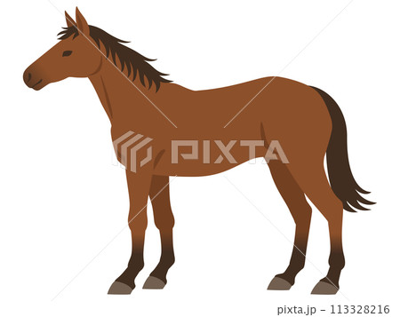 馬のイラスト 113328216