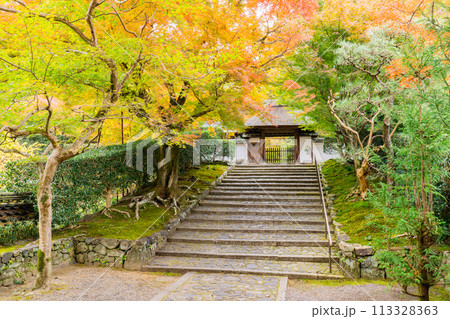 京都市左京区　東山　住連山安楽寺　山門の紅葉 113328363