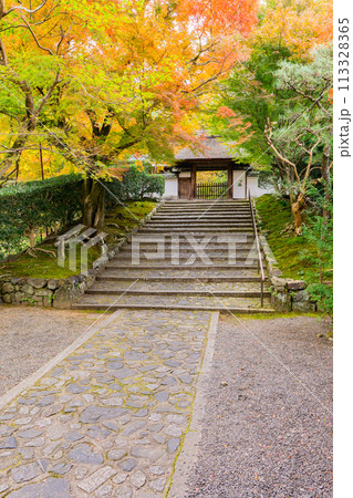京都市左京区　東山　住連山安楽寺　山門の紅葉 113328365