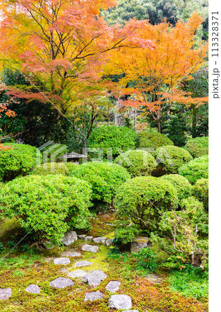 京都市左京区　東山　住連山安楽寺　書院庭園の紅葉 113328371