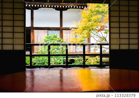 京都市左京区　東山　住連山安楽寺　書院中庭園の紅葉 113328379