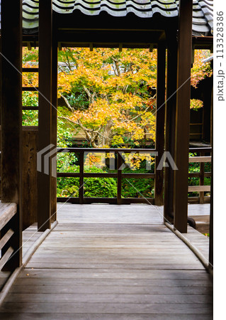 京都市左京区　東山　住連山安楽寺　書院中庭園の紅葉 113328386