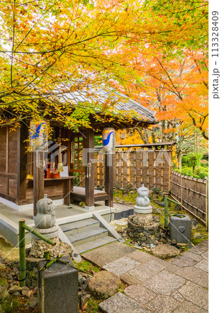 京都市左京区　東山　住連山安楽寺　くさの地蔵堂と紅葉 113328409