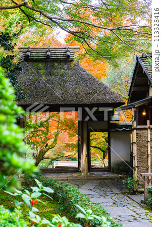 京都市左京区　東山　住連山安楽寺　山門と紅葉 113328416