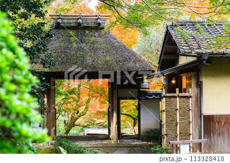 京都市左京区　東山　住連山安楽寺　山門と紅葉 113328418