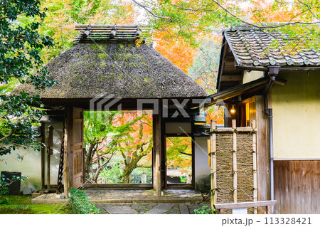 京都市左京区　東山　住連山安楽寺　山門と紅葉 113328421