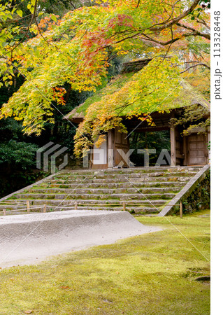 京都市左京区　東山　法然院　山門と紅葉 113328448